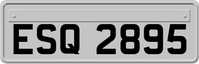 ESQ2895