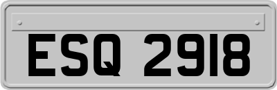 ESQ2918
