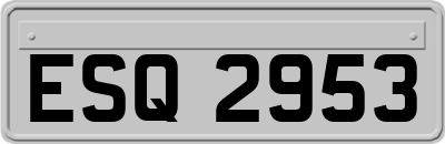 ESQ2953
