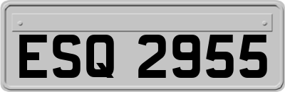 ESQ2955
