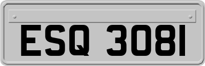 ESQ3081