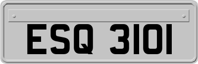 ESQ3101