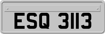 ESQ3113