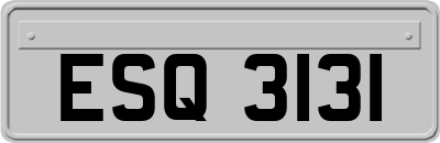 ESQ3131