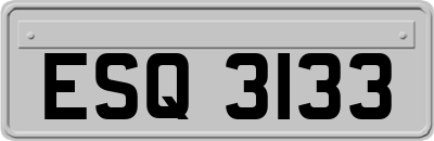 ESQ3133