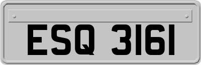 ESQ3161
