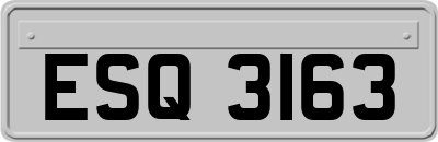 ESQ3163
