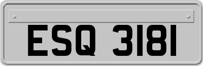 ESQ3181