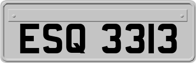 ESQ3313
