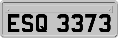 ESQ3373