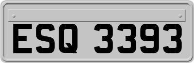ESQ3393