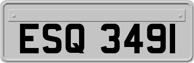 ESQ3491