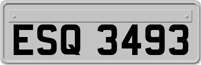 ESQ3493