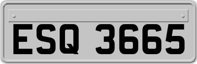 ESQ3665