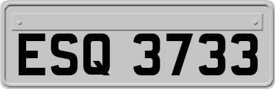 ESQ3733