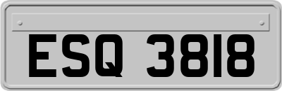 ESQ3818
