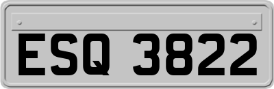 ESQ3822