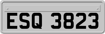 ESQ3823