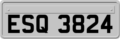 ESQ3824