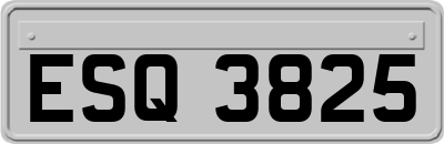 ESQ3825