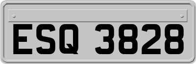 ESQ3828