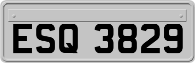 ESQ3829