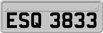 ESQ3833