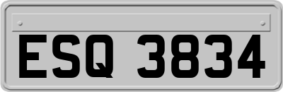 ESQ3834