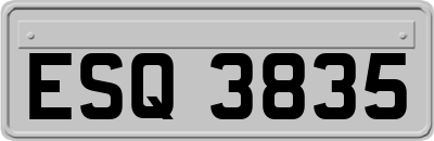 ESQ3835
