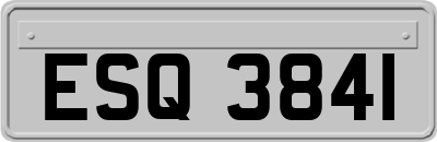 ESQ3841