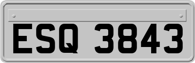 ESQ3843