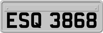 ESQ3868