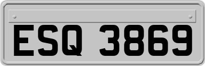 ESQ3869