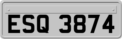 ESQ3874