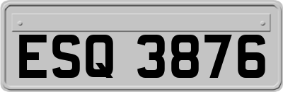 ESQ3876