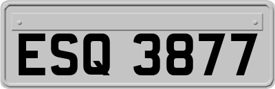 ESQ3877