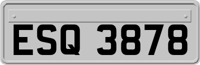 ESQ3878