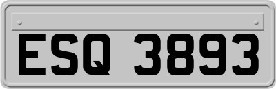 ESQ3893
