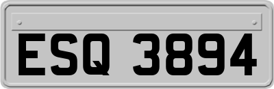 ESQ3894
