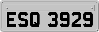 ESQ3929