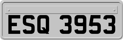 ESQ3953