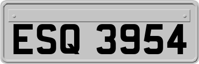 ESQ3954