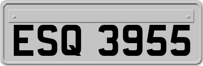 ESQ3955