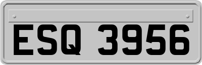 ESQ3956