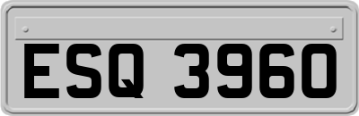 ESQ3960