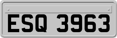 ESQ3963