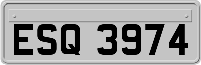 ESQ3974
