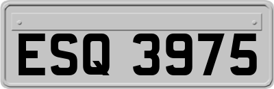 ESQ3975