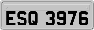 ESQ3976