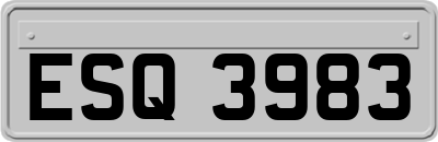 ESQ3983